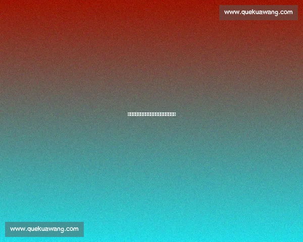 法国对阵荷兰首发阵容分析及战术布局解析